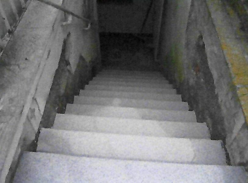 Kellertreppe mit Steinteppich-Belag